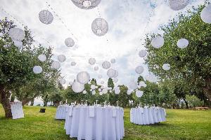 1469-811039564.nl_lampionnen_1