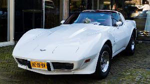 1530-197381621