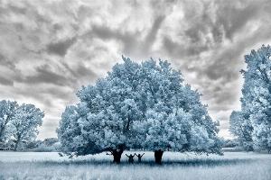 6_eric_smeets_fotografie_reportage-op-dvd