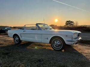 classicos_trouwauto_witte_mustang